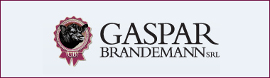 Gaspar Brandemann S.R.L.